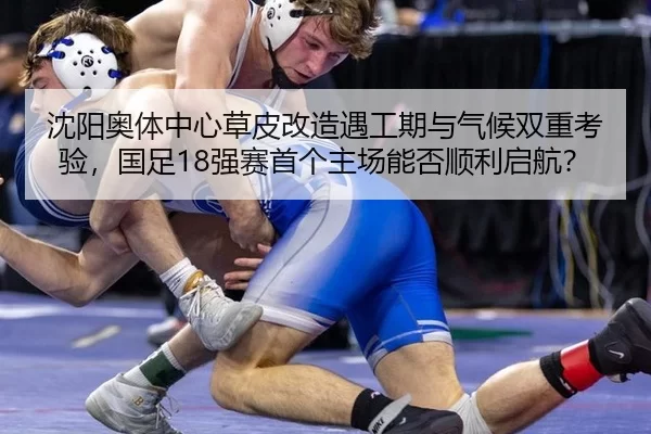 沈阳奥体中心草皮改造遇工期与气候双重考验，国足18强赛首个主场能否顺利启航？